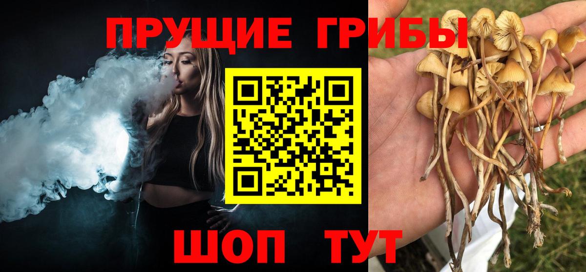 Галлюциногенные грибы Cubensis Железногорск