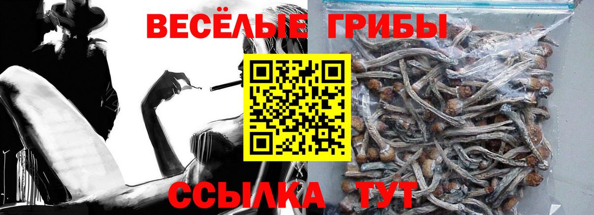Псилоцибиновые грибы мицелий  Вход с VPN  Железногорск 